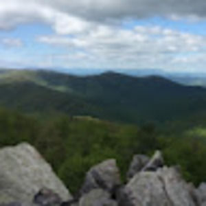 Meet your Posher, Sami